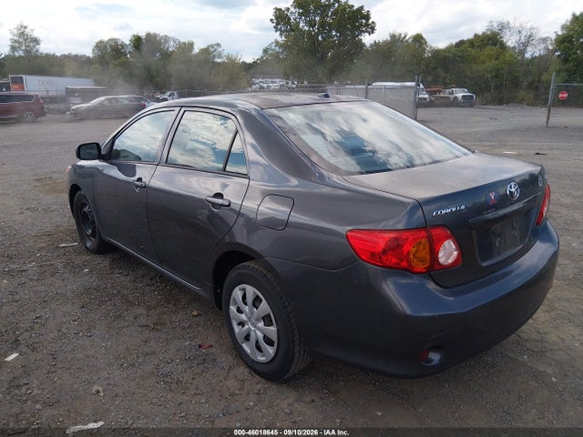 46018645 :رقم المزاد ، 2T1BU4EE4AC203196 vin ، 2010 Toyota Corolla Le مزاد بيع
