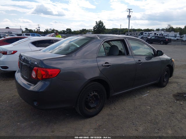 46018645 :رقم المزاد ، 2T1BU4EE4AC203196 vin ، 2010 Toyota Corolla Le مزاد بيع