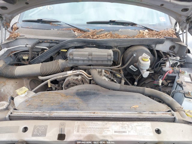 1999 Dodge Ram 1500 St მანქანა იყიდება აუქციონზე, vin: 1B7HC16Y1XS311187, აუქციონის ნომერი: 46019296