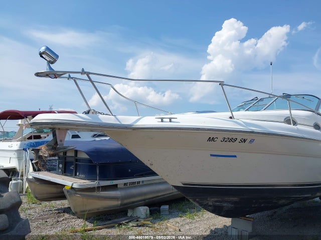 Продаж на аукціоні авто 1996 Sea Ray Other, vin: SERT8740J596, номер лоту: 46019579