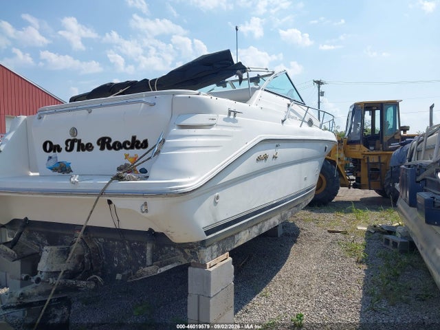 Продаж на аукціоні авто 1996 Sea Ray Other, vin: SERT8740J596, номер лоту: 46019579