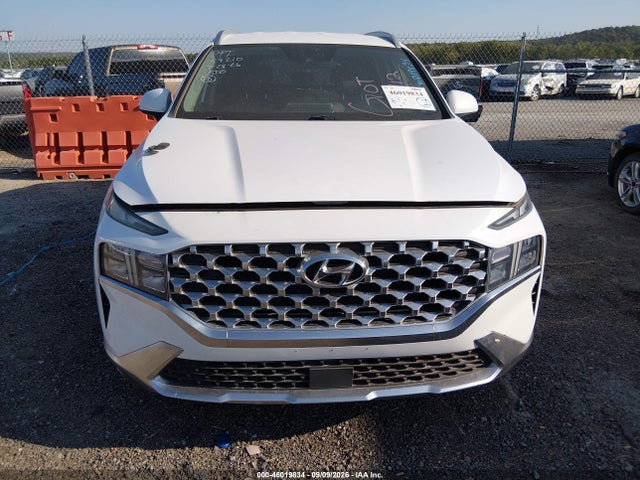 Продаж на аукціоні авто 2021 Hyundai Santa Fe Sel, vin: 5NMS2DAJ7MH360678, номер лоту: 46019834