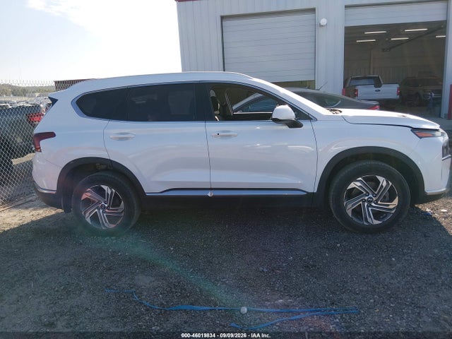Продаж на аукціоні авто 2021 Hyundai Santa Fe Sel, vin: 5NMS2DAJ7MH360678, номер лоту: 46019834