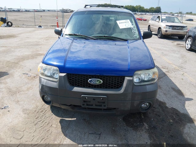 Продаж на аукціоні авто 2006 Ford Escape Xlt, vin: 1FMYU03Z56KC48951, номер лоту: 46019850