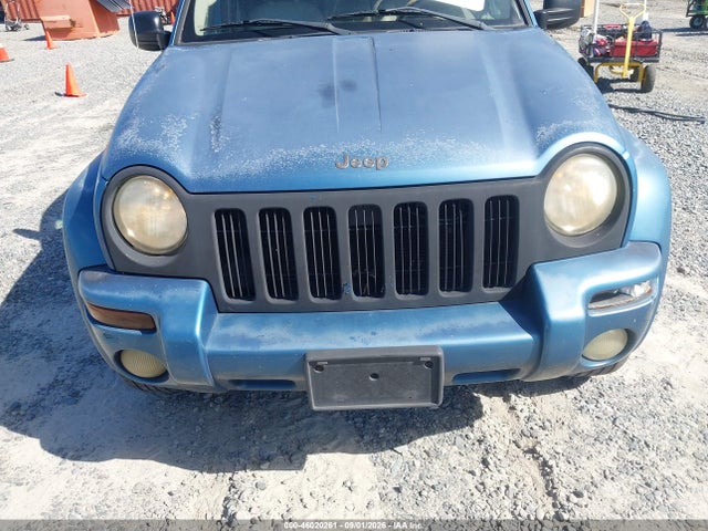 Aukcja sprzedaży 2004 Jeep Liberty Limited Edition, vin: 1J4GK58K24W128264, numer aukcji: 46020261