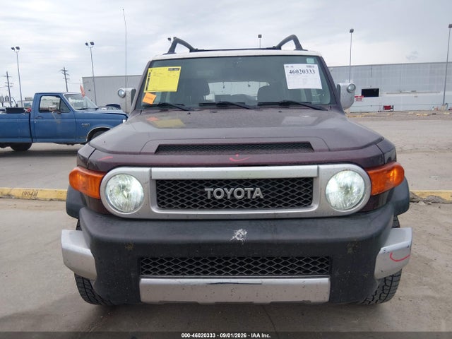 46020333 :رقم المزاد ، JTEZU11F970010925 vin ، 2007 Toyota Fj Cruiser مزاد بيع
