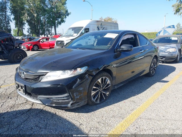 1HGCT2B96GA007407 Honda Accord Ex-l V-6