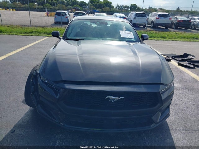 Aukcja sprzedaży 2024 Ford Mustang Ecoboost Fastback, vin: 1FA6P8TH7R5109535, numer aukcji: 46020925