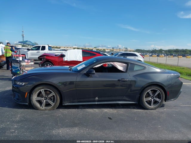 Aukcja sprzedaży 2024 Ford Mustang Ecoboost Fastback, vin: 1FA6P8TH7R5109535, numer aukcji: 46020925