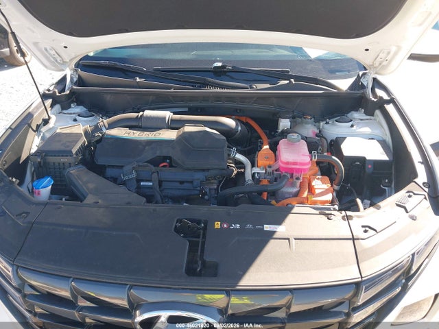 2024 Hyundai Tucson Hybrid Blue მანქანა იყიდება აუქციონზე, vin: KM8JBCD1XRU236031, აუქციონის ნომერი: 46021820
