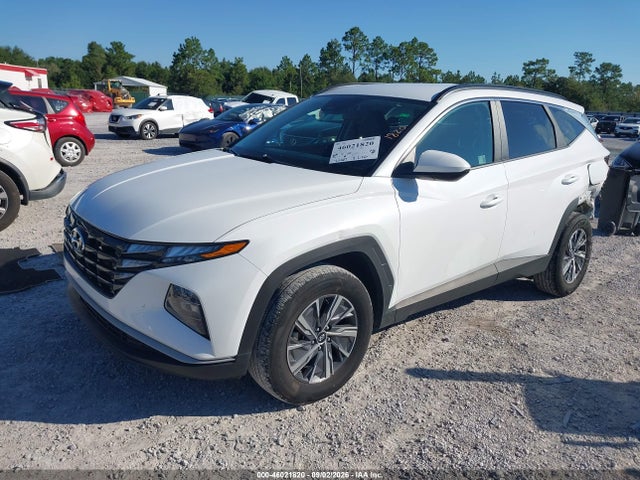 2024 Hyundai Tucson Hybrid Blue მანქანა იყიდება აუქციონზე, vin: KM8JBCD1XRU236031, აუქციონის ნომერი: 46021820
