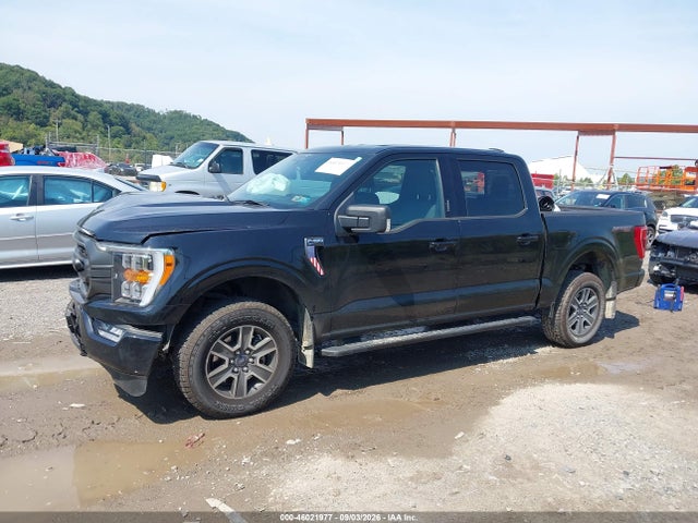 Aukcja sprzedaży 2023 Ford F-150 Xlt, vin: 1FTEW1EP3PFA21982, numer aukcji: 46021977