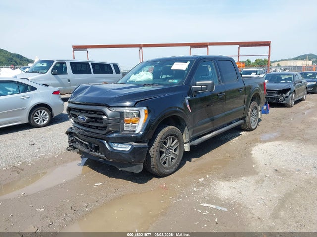 Aukcja sprzedaży 2023 Ford F-150 Xlt, vin: 1FTEW1EP3PFA21982, numer aukcji: 46021977