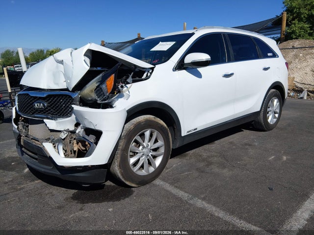 5XYPGDA50HG321117 KIA Sorento 3.3l Lx
