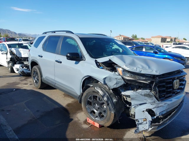 5FNYG1H66SB040228 Honda Pilot Trailsport