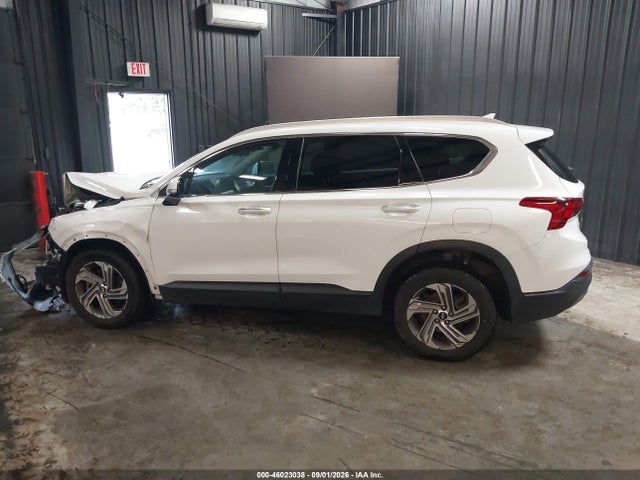 Продаж на аукціоні авто 2023 Hyundai Santa Fe Sel, vin: 5NMS24AJ8PH640811, номер лоту: 46023038