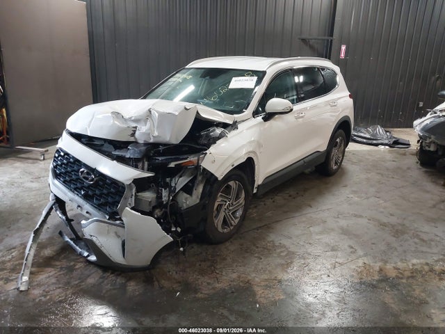 Продаж на аукціоні авто 2023 Hyundai Santa Fe Sel, vin: 5NMS24AJ8PH640811, номер лоту: 46023038