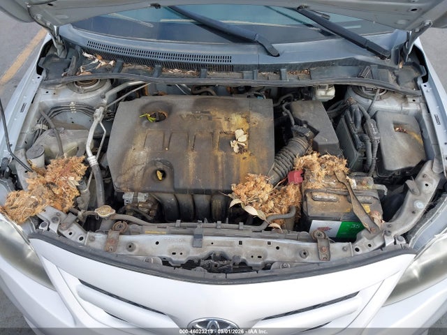 Продажа на аукционе авто 2011 Toyota Corolla S, vin: 2T1BU4EE7BC656620, номер лота: 46023219