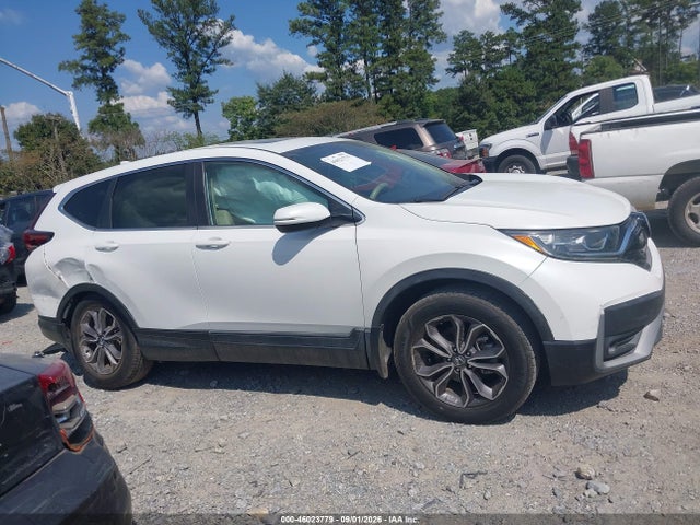 Продажа на аукционе авто 2020 Honda Cr-v 2wd Ex-l, vin: 2HKRW1H84LH413164, номер лота: 46023779