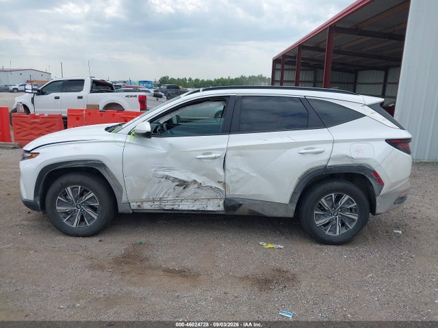 Продажа на аукционе авто 2024 Hyundai Tucson Hybrid Blue, vin: KM8JBCD15RU198157, номер лота: 46024728