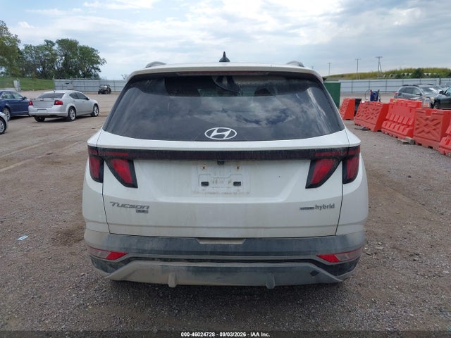 Продажа на аукционе авто 2024 Hyundai Tucson Hybrid Blue, vin: KM8JBCD15RU198157, номер лота: 46024728
