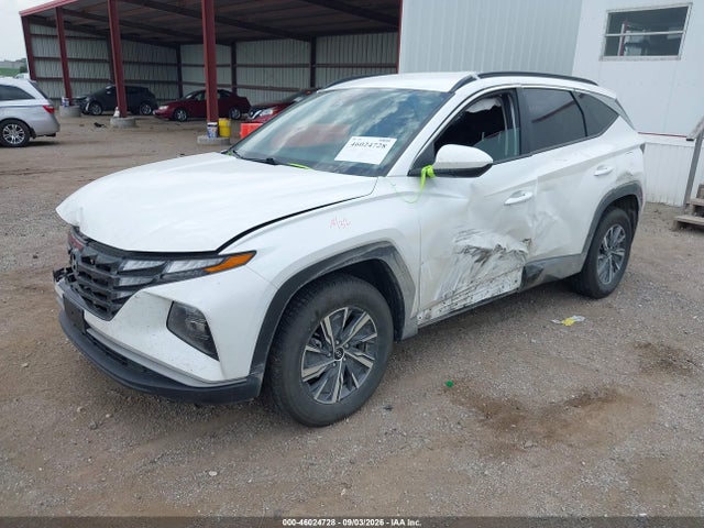 Продажа на аукционе авто 2024 Hyundai Tucson Hybrid Blue, vin: KM8JBCD15RU198157, номер лота: 46024728