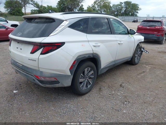 Продажа на аукционе авто 2024 Hyundai Tucson Hybrid Blue, vin: KM8JBCD15RU198157, номер лота: 46024728