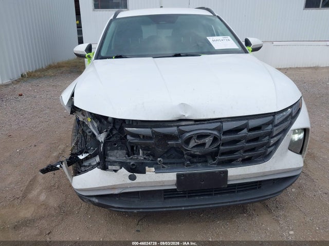 Продажа на аукционе авто 2024 Hyundai Tucson Hybrid Blue, vin: KM8JBCD15RU198157, номер лота: 46024728
