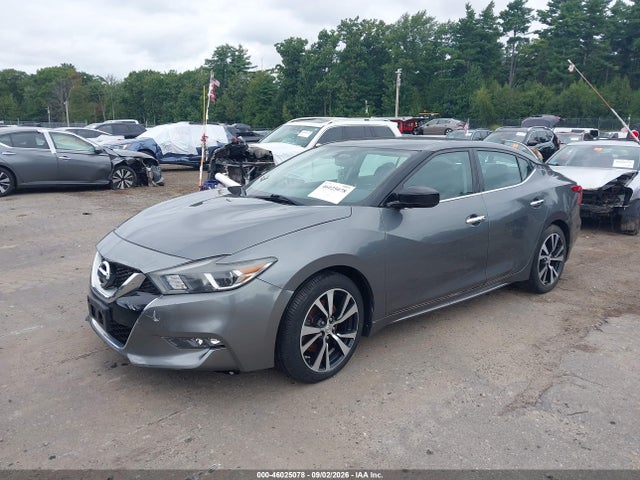 1N4AA6AP1HC456203 Nissan Maxima 3.5 S