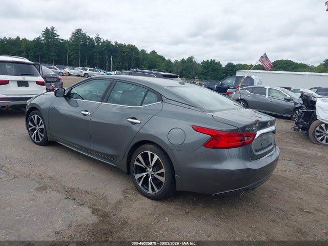 1N4AA6AP1HC456203 Nissan Maxima 3.5 S