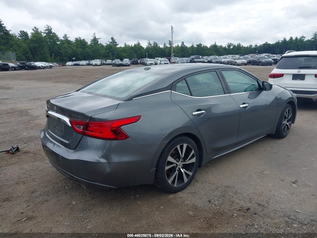 1N4AA6AP1HC456203 Nissan Maxima 3.5 S