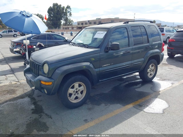 2002 Jeep Liberty Limited Edition მანქანა იყიდება აუქციონზე, vin: 1J8GL58K82W195184, აუქციონის ნომერი: 46025457