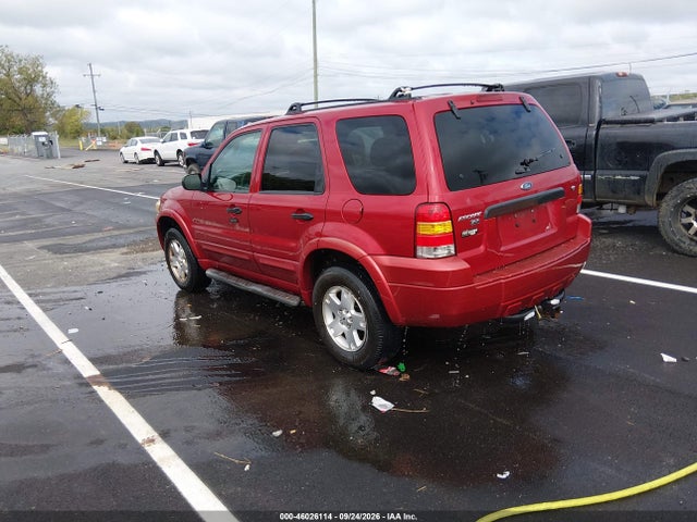 46026114 :رقم المزاد ، 1FMYU03117KB26583 vin ، 2007 Ford Escape مزاد بيع