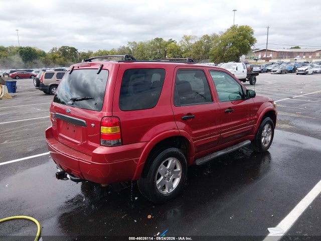 46026114 :رقم المزاد ، 1FMYU03117KB26583 vin ، 2007 Ford Escape مزاد بيع