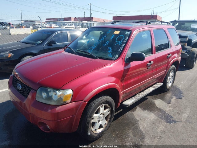 46026114 :رقم المزاد ، 1FMYU03117KB26583 vin ، 2007 Ford Escape مزاد بيع