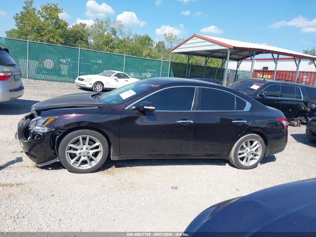 Продажа на аукционе авто 2010 Nissan Maxima 3.5 Sv, vin: 1N4AA5AP5AC842221, номер лота: 46027769