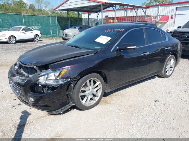 Продажа на аукционе авто 2010 Nissan Maxima 3.5 Sv, vin: 1N4AA5AP5AC842221, номер лота: 46027769