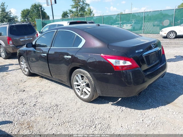 Продажа на аукционе авто 2010 Nissan Maxima 3.5 Sv, vin: 1N4AA5AP5AC842221, номер лота: 46027769