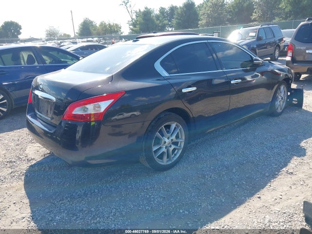 Продажа на аукционе авто 2010 Nissan Maxima 3.5 Sv, vin: 1N4AA5AP5AC842221, номер лота: 46027769