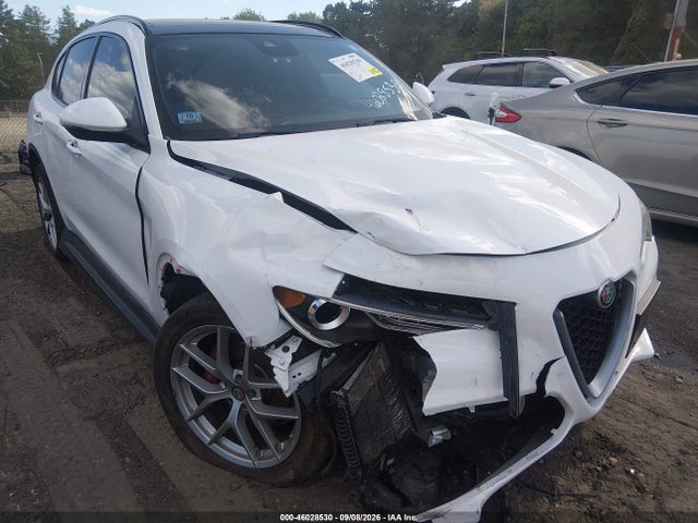 Продаж на аукціоні авто 2019 Alfa Romeo Stelvio Ti Sport Awd, vin: ZASPAKBNXK7C41873, номер лоту: 46028530