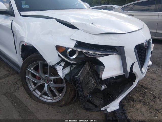 Aukcja sprzedaży 2019 Alfa Romeo Stelvio Ti Sport Awd, vin: ZASPAKBNXK7C41873, numer aukcji: 46028530