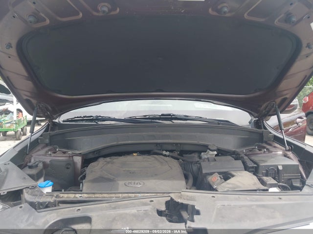 2021 Kia Telluride Lx მანქანა იყიდება აუქციონზე, vin: 5XYP24HC5MG162236, აუქციონის ნომერი: 46029209