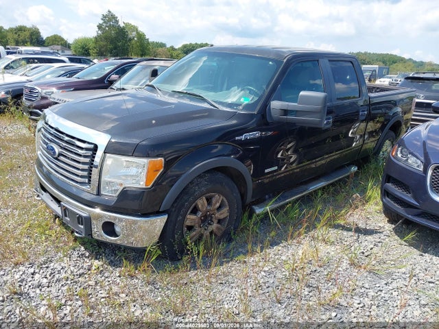 46029503 :رقم المزاد ، 1FTFW1ET6CKD72095 vin ، 2012 Ford F-150 Xlt مزاد بيع