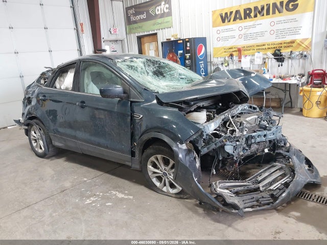 2019 1FMCU9GD3KUB99955 главное изображение