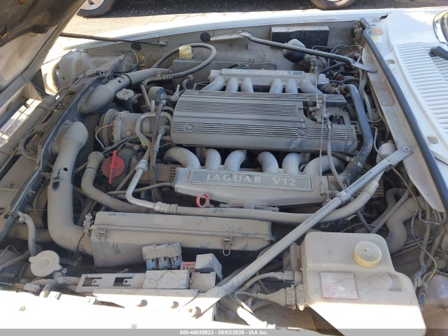 1995 Jaguar Xjs 2+2 მანქანა იყიდება აუქციონზე, vin: SAJNX2345SC197679, აუქციონის ნომერი: 46030923