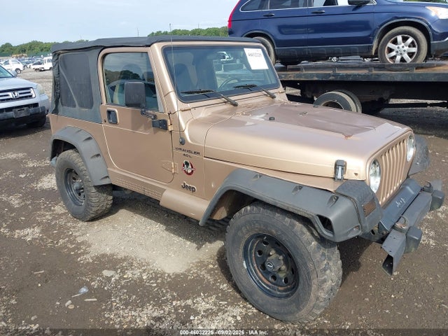 Auction sale of the 2002 Jeep Wrangler Sahara, vin: 1J4FA59S42P749204, lot number: 46032225
