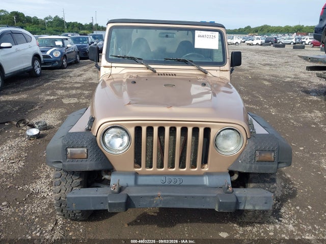 46032225 :رقم المزاد ، 1J4FA59S42P749204 vin ، 2002 Jeep Wrangler Sahara مزاد بيع