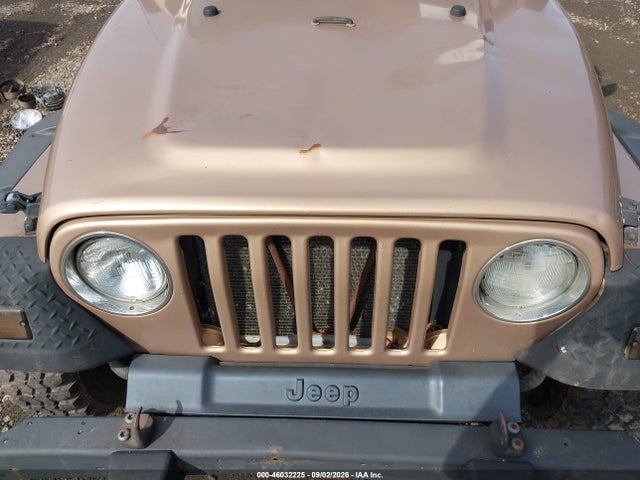 46032225 :رقم المزاد ، 1J4FA59S42P749204 vin ، 2002 Jeep Wrangler Sahara مزاد بيع