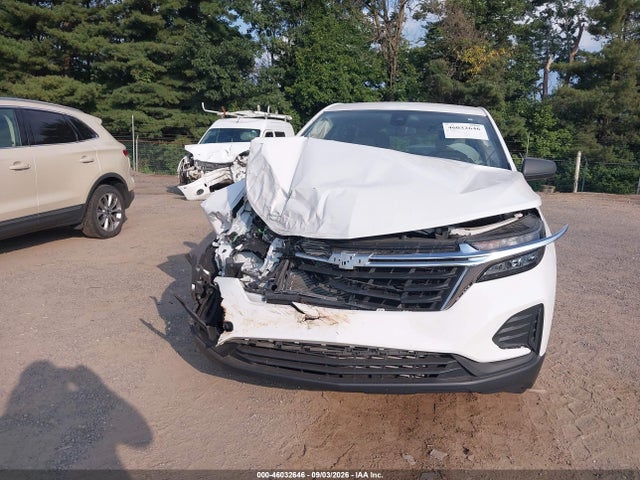 Aukcja sprzedaży 2023 Chevrolet Equinox Fwd Ls, vin: 3GNAXHEG8PL174195, numer aukcji: 46032646