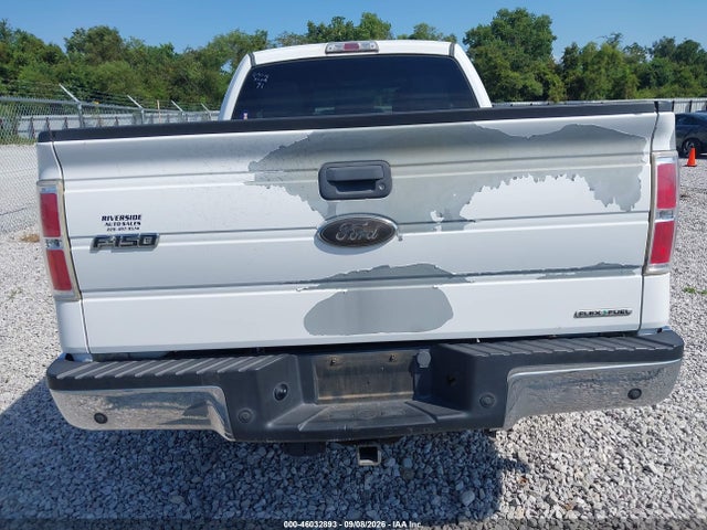 46032893 :رقم المزاد ، 1FTEX1CM7BKE20464 vin ، 2011 Ford F-150 Stx/xl/xlt مزاد بيع